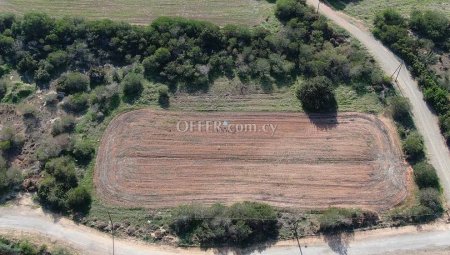 Field for Sale in Paralimni, Ammochostos - 3