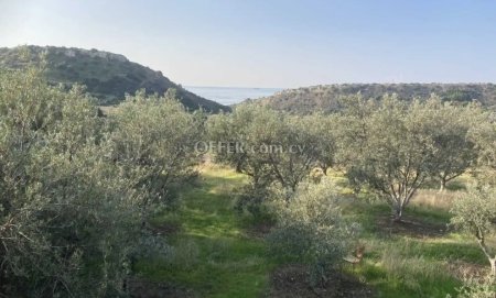 (Residential) in Agios Tychonas, Limassol for Sale