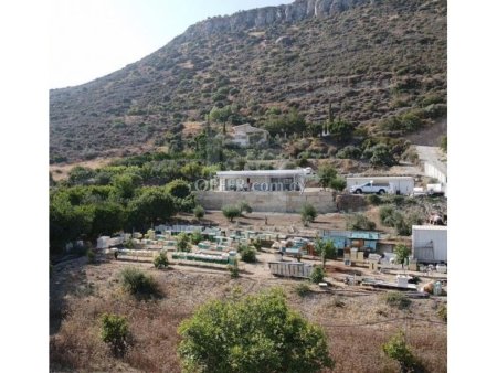Modern rancho for sale in Foinikaria area surrounded by nature - 2