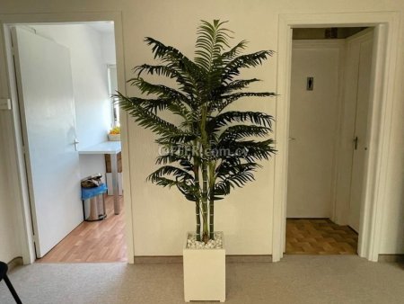 Office for rent in Agia Zoni, Limassol - 4