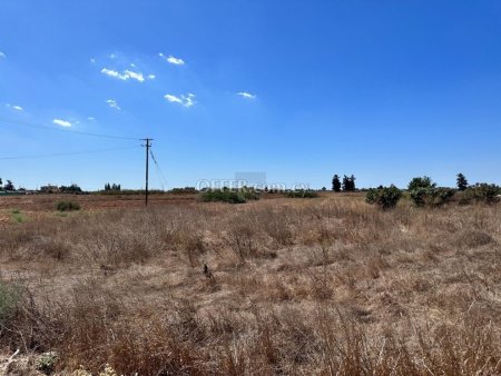 Residential field in Avgorou - 6