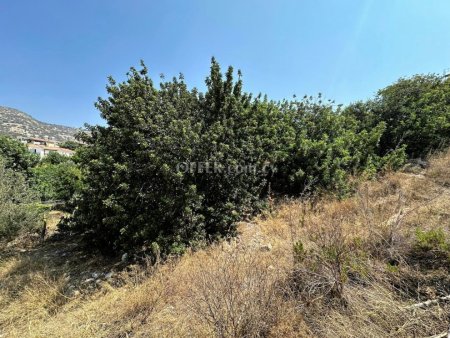 Development Land for sale in Pegeia, Paphos - 5