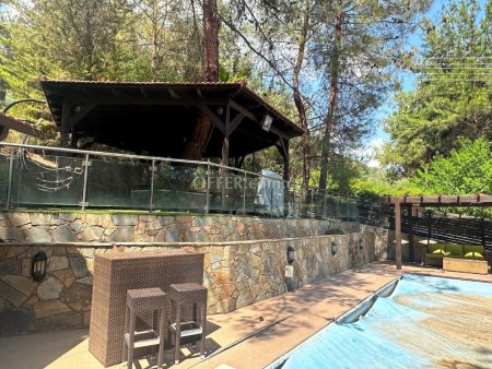 6 Bed Detached House for sale in Moniatis, Limassol - 9