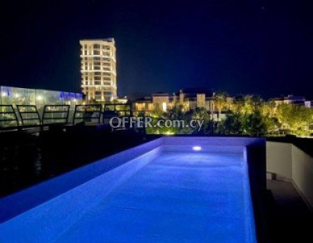 Modern 5 Bedroom Villa near Parklane - 3