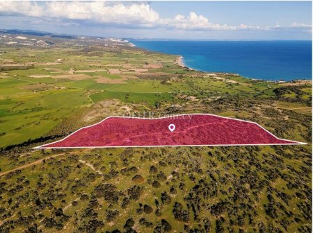 Field for sale in Pissouri, Limassol - 2