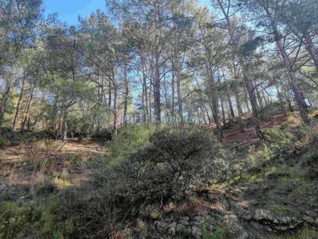 21,682m2 Residential Land For Sale Limassol - 5