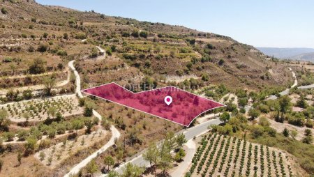 Residential Field in Praitori Paphos - 4