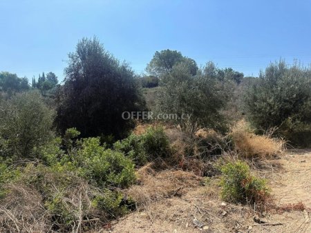 Development Land for sale in Kouklia, Paphos - 2