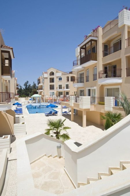 3 bed house for sale in Kato Paphos Pafos - 5