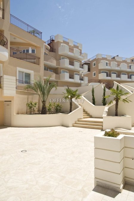 3 bed house for sale in Kato Paphos Pafos - 4
