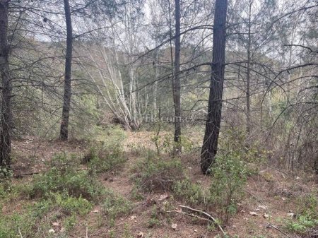 Land Parcel 600 sm in Kato Platres, Limassol