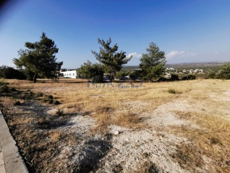 Large Residential Plot for Sale in Souni Area