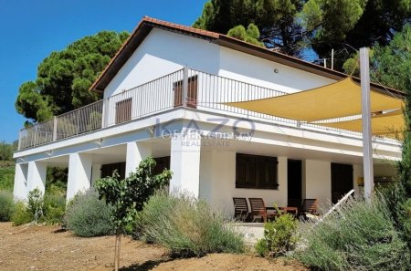 Detached Forest House for Rent in Moniatis Area - 13