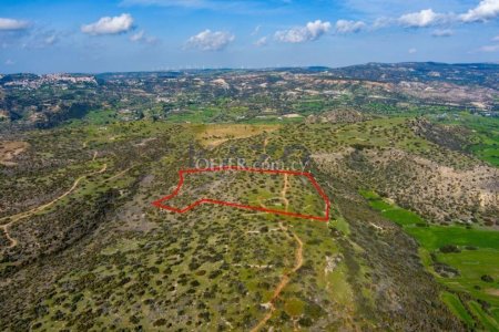 Touristic field in Pissouri, Limassol - 3