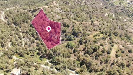 Residential Field, Pera Pedi, Limassol - 4