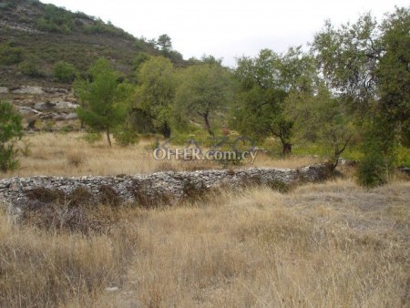 Large Residential Land for Sale in Pera Pedi - 5