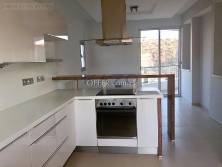 Modern Four Bedroom Penthouse with Roof Garden for Rent in Germasogeia Green Area - 4