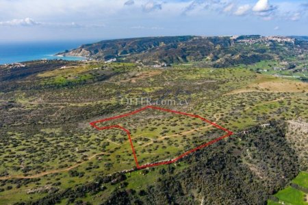 Touristic field in Pissouri, Limassol - 2