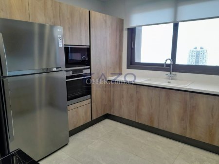 Incredible Brand New 3-Bedroom Apartment - 7