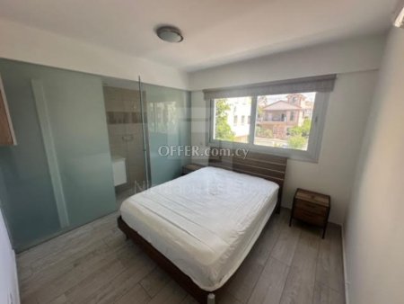 Luxurious Fully Furnished Two Bedroom Apartment for Rent in Strovolos - 10