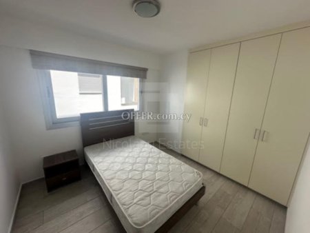 Luxurious Fully Furnished Two Bedroom Apartment for Rent in Strovolos - 3