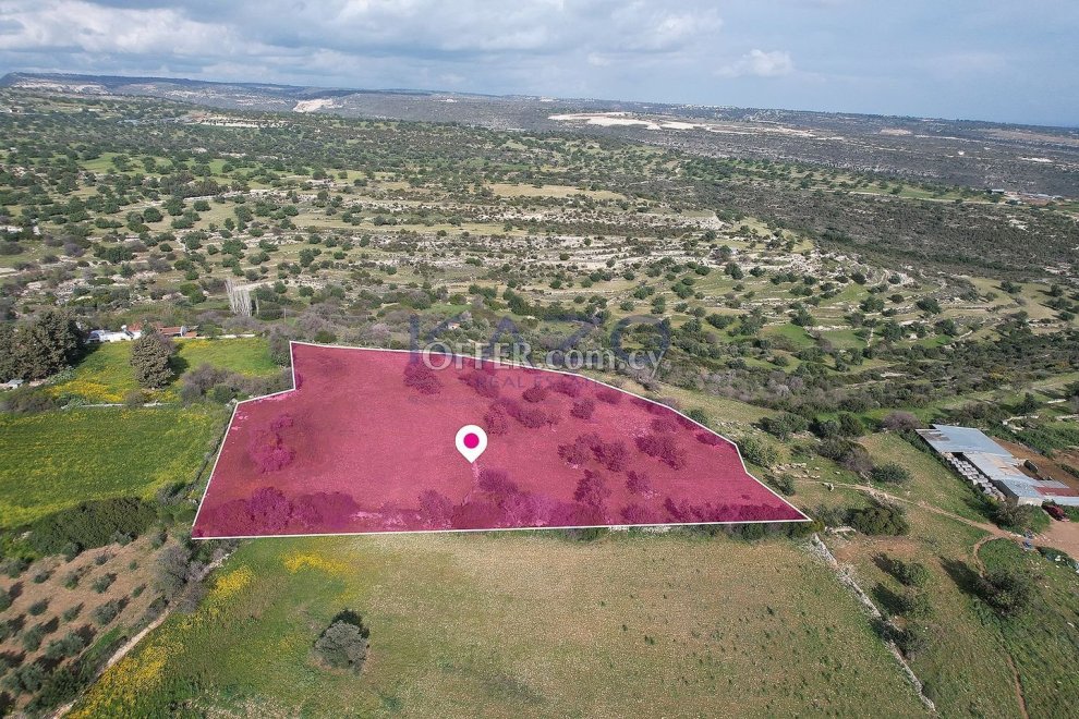Residential Field, Prastio Avdimou, Limassol (780910EN) Cyprus Land