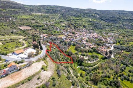 Shared residential field in Kedares, Paphos - 4