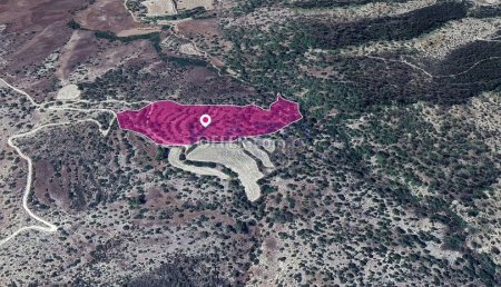 Field, Amargeti, Paphos - 3