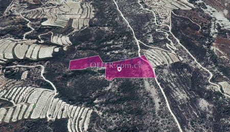 Agricultural Field, Kapilio, Limassol - 3