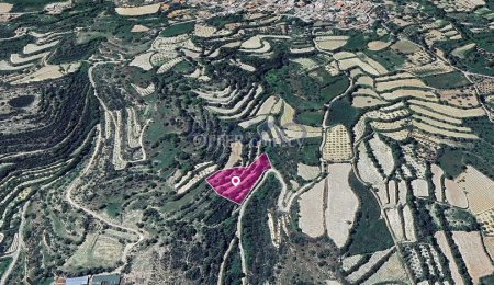 Agricultural Field, Koili, Paphos - 3