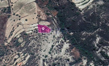 Residential field in Agios Mamas Community, Limassol - 3
