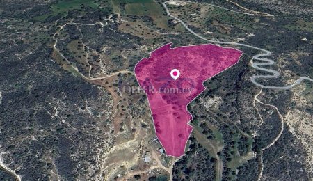 Field in Agios Isidoros, Paphos - 2