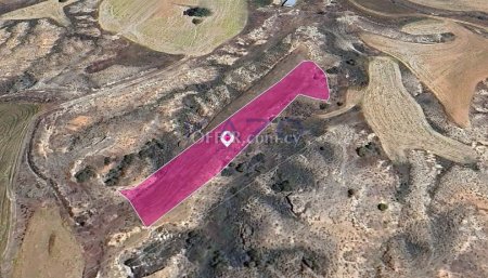 Agricultural field in Agioi Trimithias, Nicosia - 2