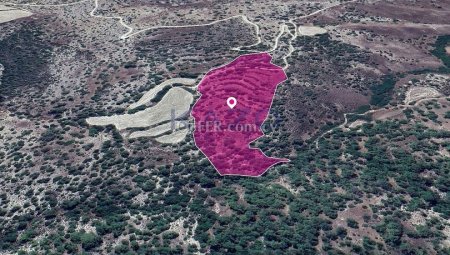 Field, Amargeti, Paphos - 2