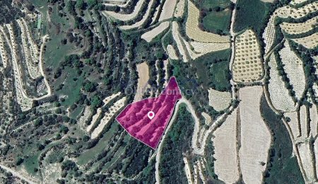 Agricultural Field, Koili, Paphos - 2