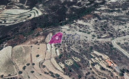 Residential field in Agios Mamas Community, Limassol - 2