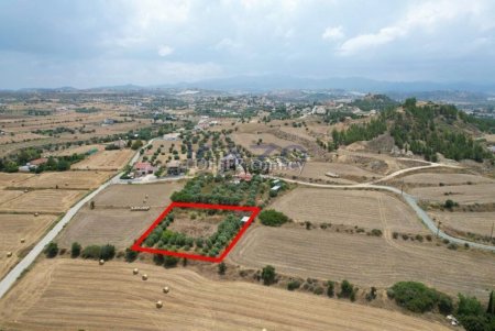 Residential field in Pera, Nicosia - 2