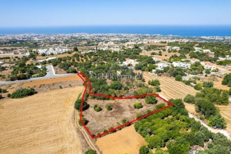 Residential field in Tremithousa, Paphos - 3