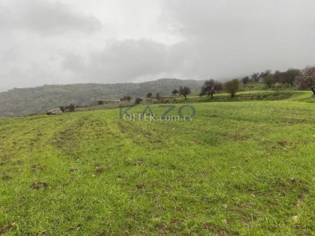 Shared residential field in Kelokedara, Paphos - 7