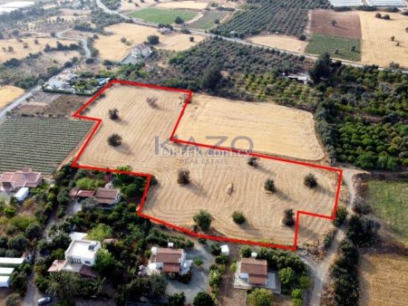 Field in Agios Theodoros, Larnaca - 3