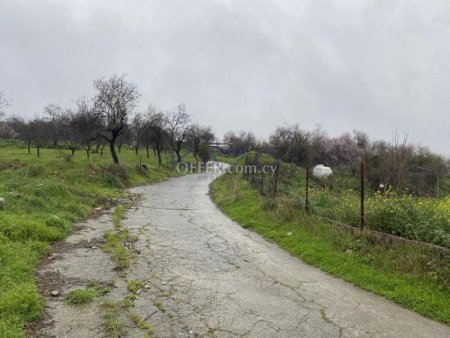 Shared residential field in Kelokedara, Paphos - 6