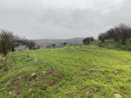 Shared residential field in Kelokedara, Paphos - 5