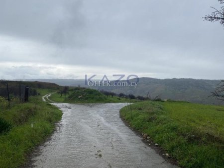 Shared residential field in Kelokedara, Paphos - 3