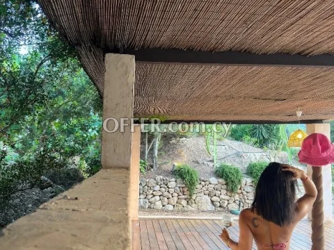 Sonia - Photo 1