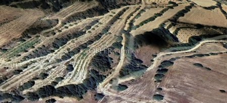 Agricultural Field for sale in Amargeti, Paphos - 2