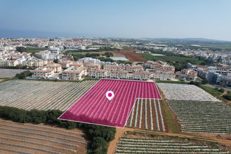 Residential Field Paralimni - 3