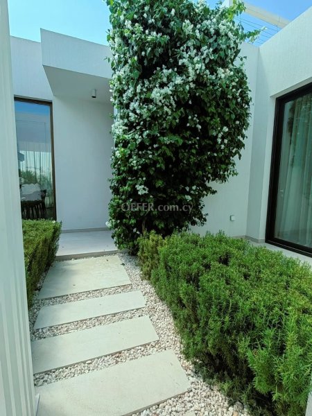 3 Bed Detached Villa for sale in Peyia, Paphos - 7