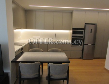 Brand new spacious one bedroom apartment with Italian furniture - 8