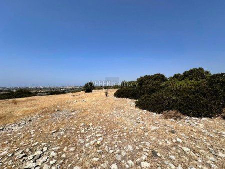 Large Residential Field in Kourio, Erimi - 4