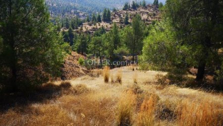 Residential field in Agios Theodoros Soleas, Nicosia - 2